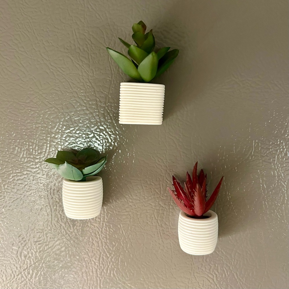 Set of 3 Magnetic Succulent Magnets